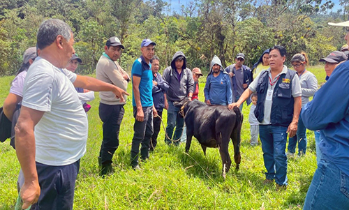 Escuelas de formación pecuaria capacitan a 2622 productores locales