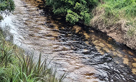 Suspenden servicio de agua potable por contaminación del río Cupa